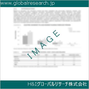 グローバルリサーチ調査資料のイメージ